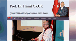 Desktop Screenshot of hamitokur.com